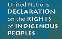 Image of the text of 'United Nations Declaration on the Rights of Indigenous Peoples'