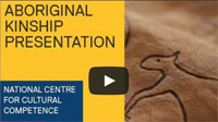 Aboriginal kinship module