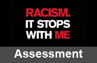 Racism Assessment