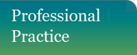 Profesional practice