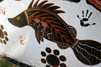 Aboriginal artwork depicting a fish